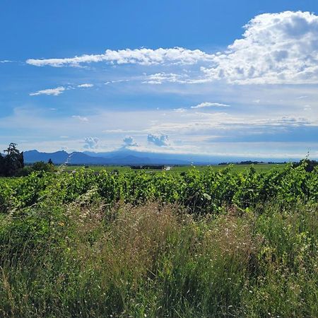Le Willow Châteauneuf-du-Pape المظهر الخارجي الصورة